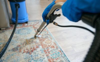 Shampouinage de Moquette dans des Bureaux et Open Spaces