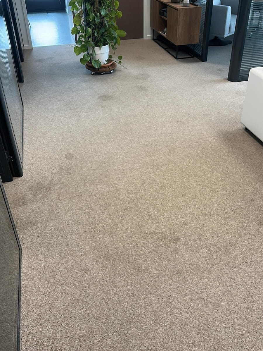 shampouinage moquette bureau